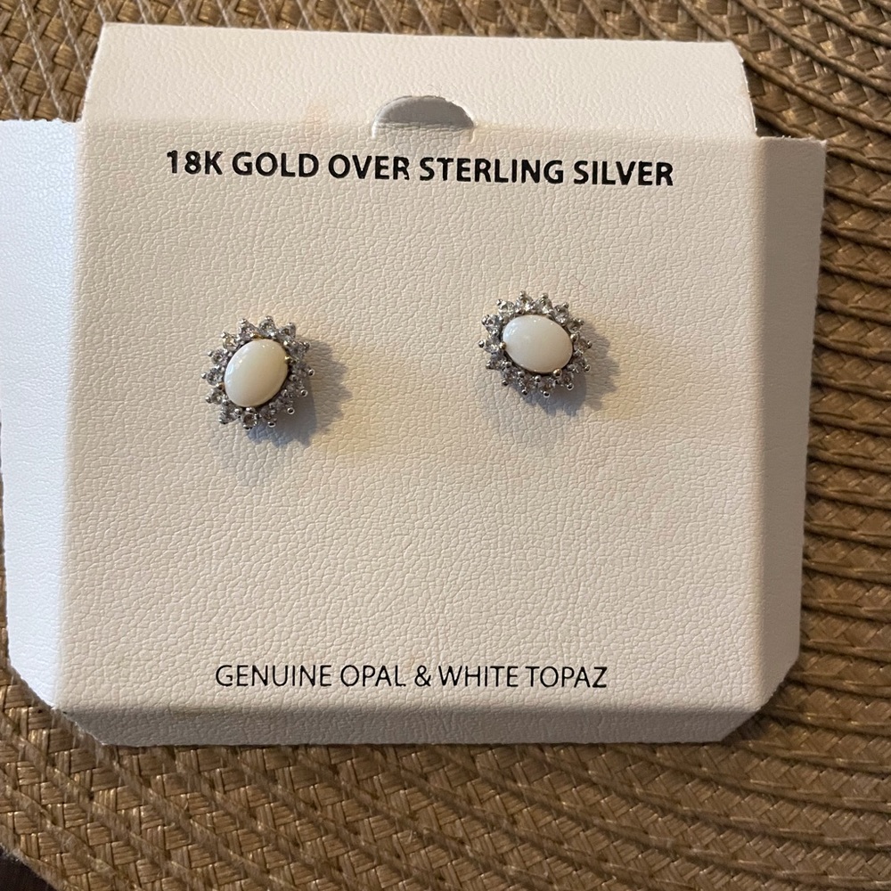 Genuine Opal and White Turquoise Earrings